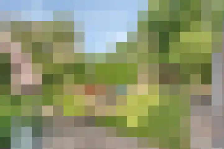 Vegerinkskamp 4 Bathmen thumbnail 46