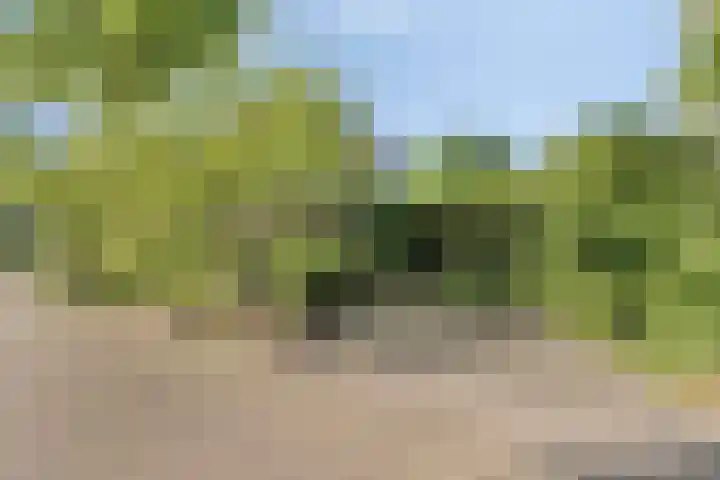 Vegerinkskamp 4 Bathmen thumbnail 49