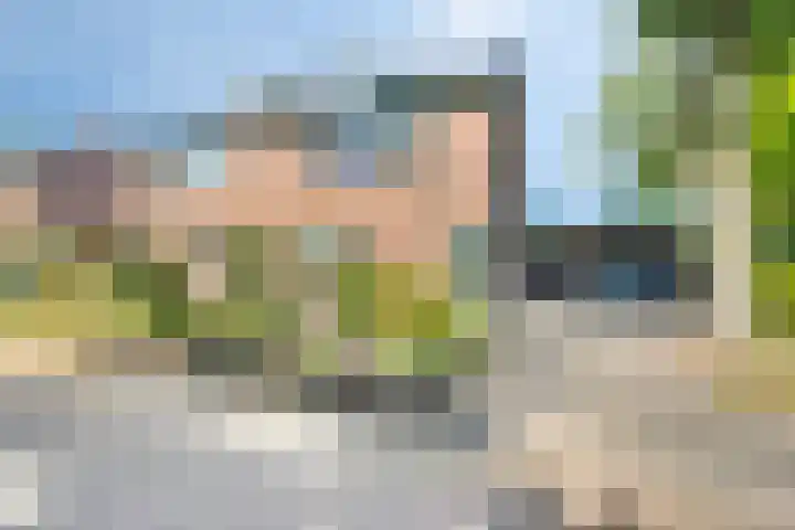 Vegerinkskamp 4 Bathmen thumbnail 51