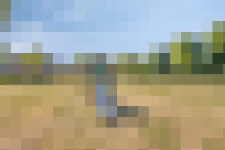 Vegerinkskamp 4 Bathmen thumbnail 52