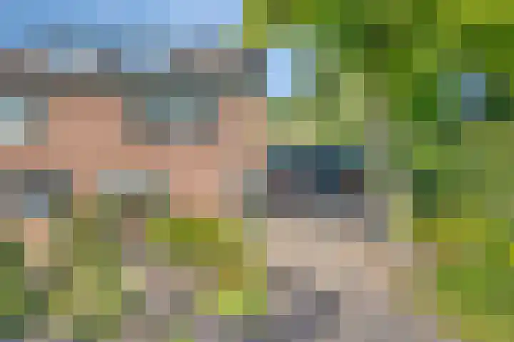 Vegerinkskamp 4 Bathmen thumbnail 53