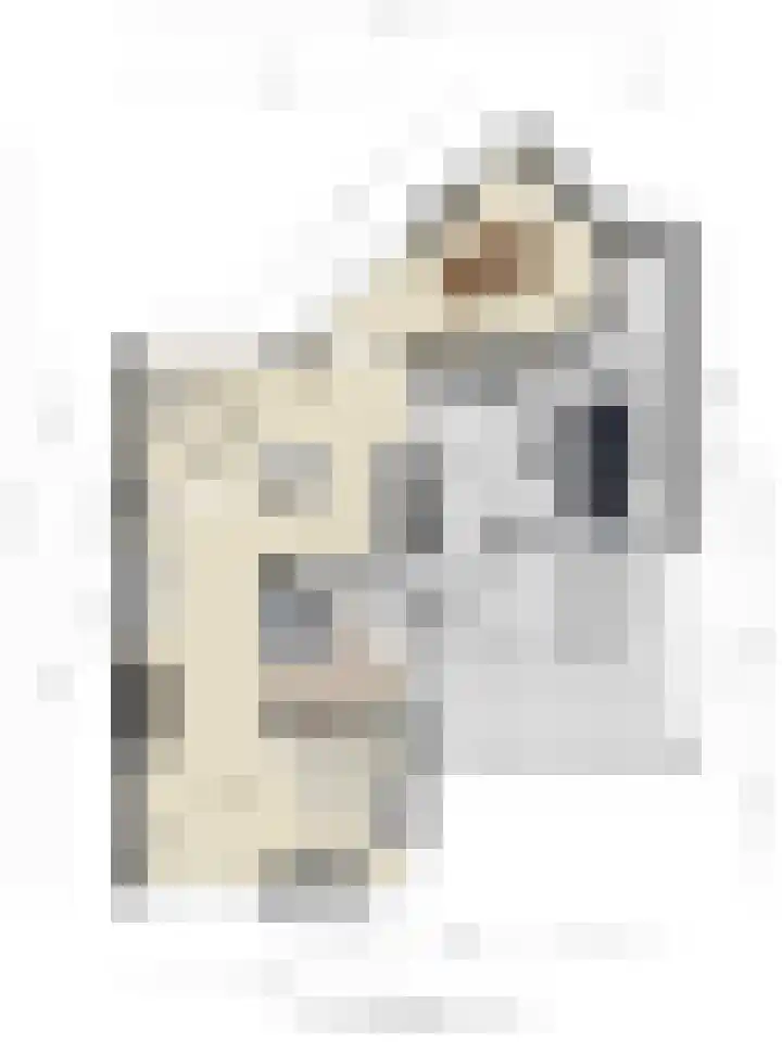 Vegerinkskamp 4 Bathmen thumbnail 54