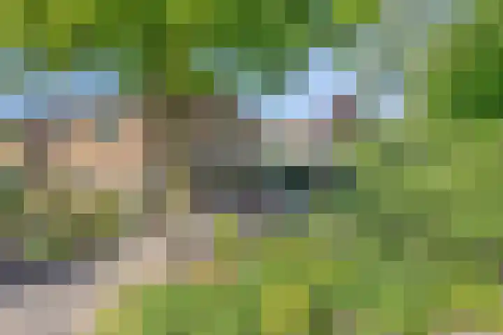 Vegerinkskamp 4 Bathmen thumbnail 8