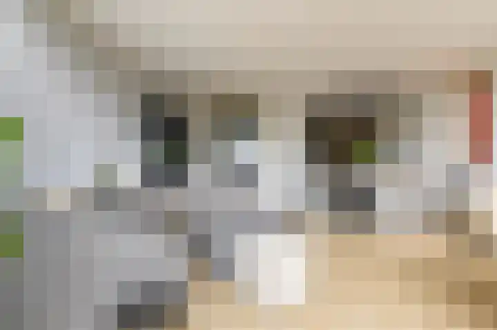 Veilinghavenkade 113 Utrecht thumbnail 11