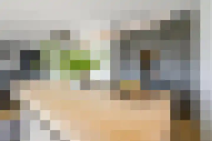 Veilinghavenkade 113 Utrecht thumbnail 19