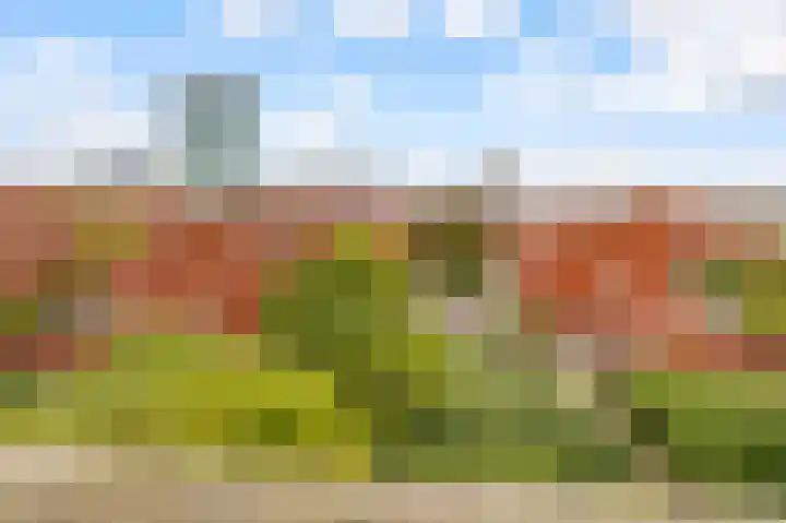 Veilinghavenkade 113 Utrecht thumbnail 37