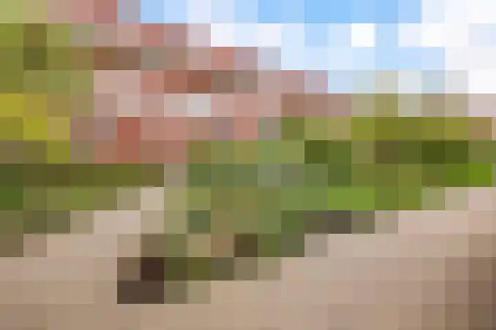 Veilinghavenkade 113 Utrecht thumbnail 41