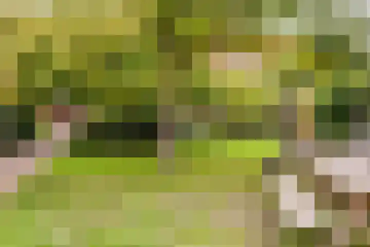 Veilinghavenkade 113 Utrecht thumbnail 47