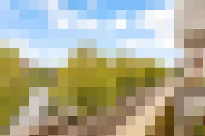 Veilinghavenkade 113 Utrecht thumbnail 8