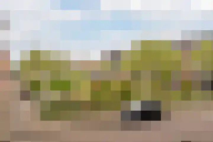 Veilingkade 8 's-Gravenzande thumbnail 17