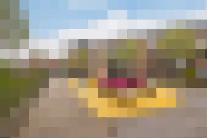 Veilingkade 8 's-Gravenzande thumbnail 18