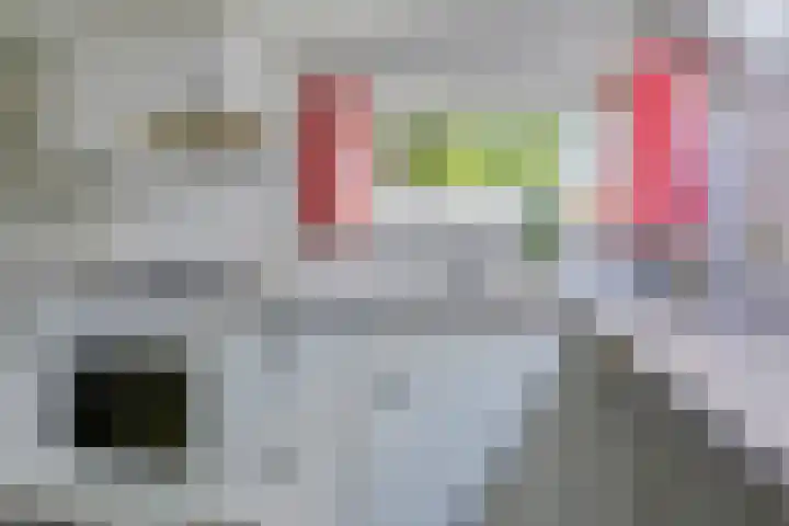 Veilingkade 8 's-Gravenzande thumbnail 20