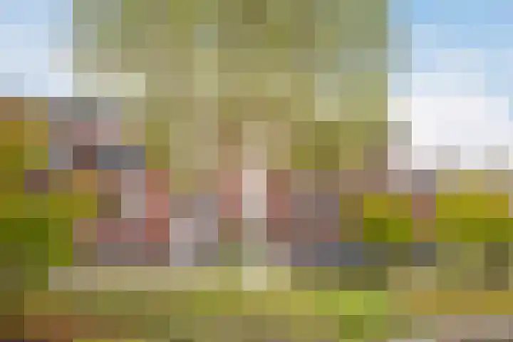 Veilingkade 8 's-Gravenzande thumbnail 29