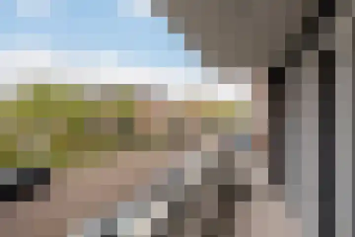 Veilingkade 8 's-Gravenzande thumbnail 5