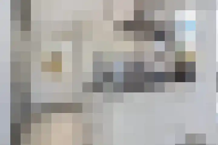 Veilingstraat 1 Pijnacker thumbnail 12