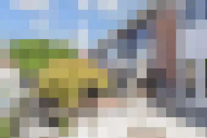 Veilingstraat 1 Pijnacker thumbnail 13