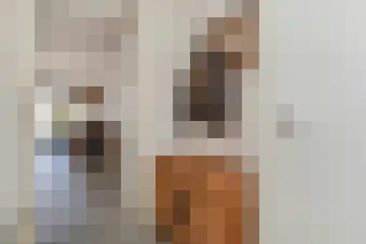 Veilingstraat 1 Pijnacker thumbnail 17