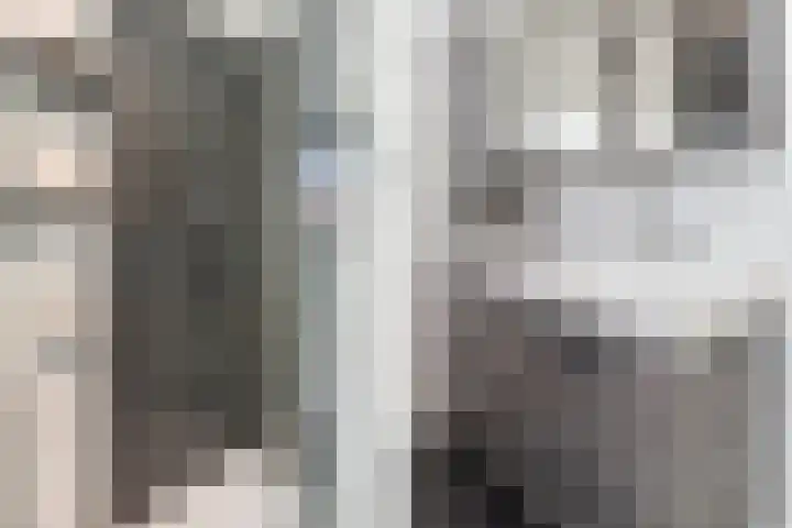 Veilingstraat 1 Pijnacker thumbnail 21