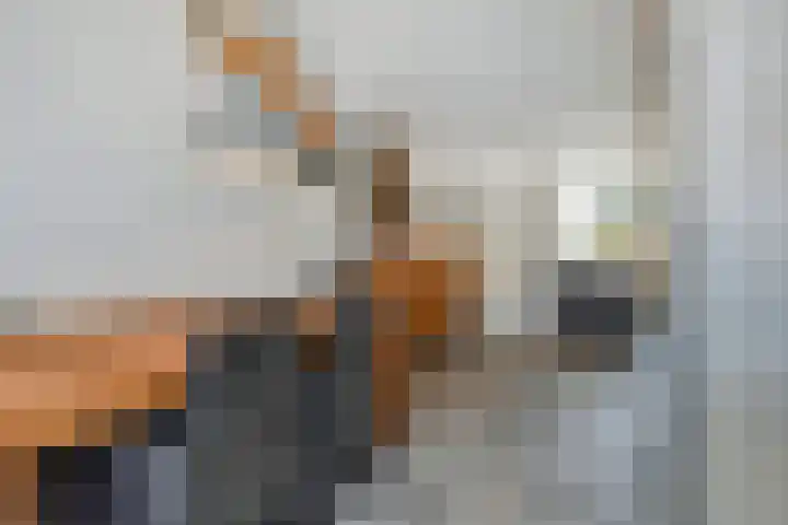 Veilingstraat 1 Pijnacker thumbnail 9