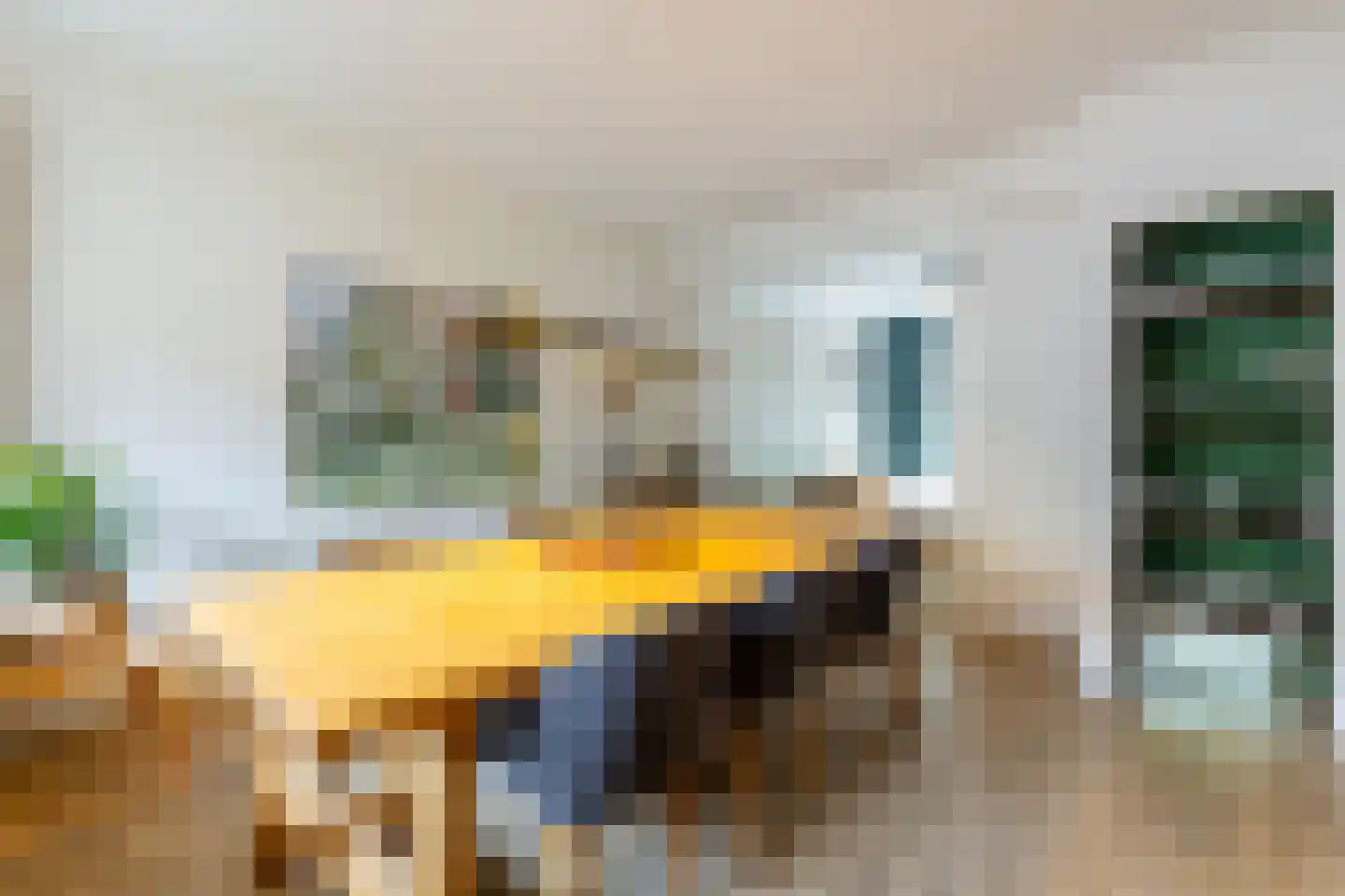 Veilingstraat 10 Zundert thumbnail 13
