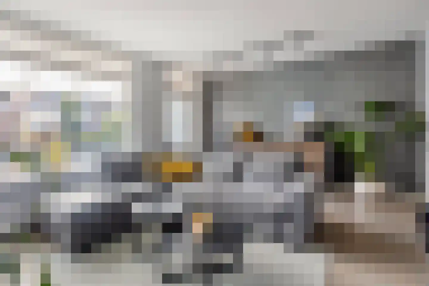 Veilingstraat 112 Uden thumbnail 11