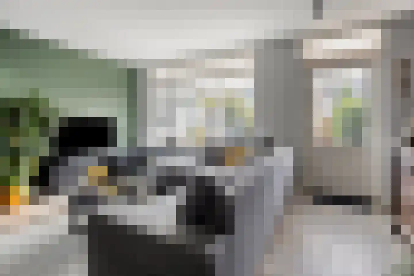 Veilingstraat 112 Uden thumbnail 12