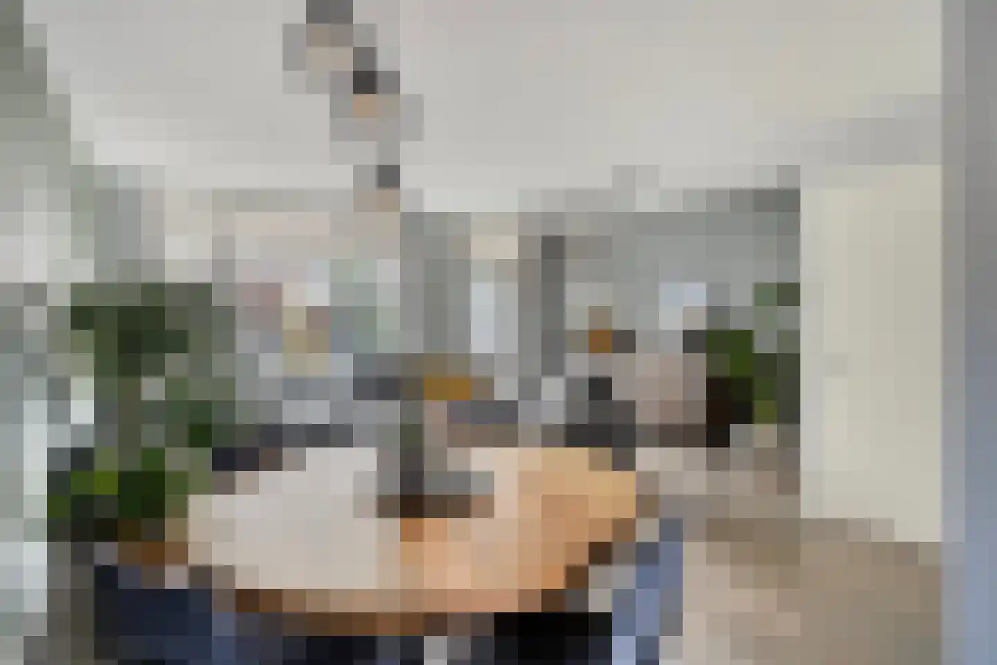 Veilingstraat 112 Uden foto 2