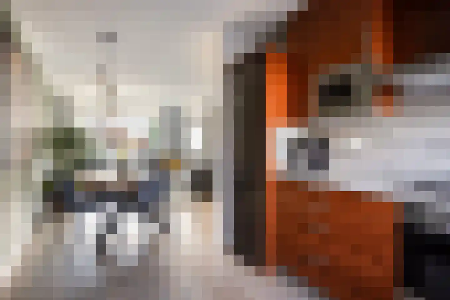 Veilingstraat 112 Uden thumbnail 20