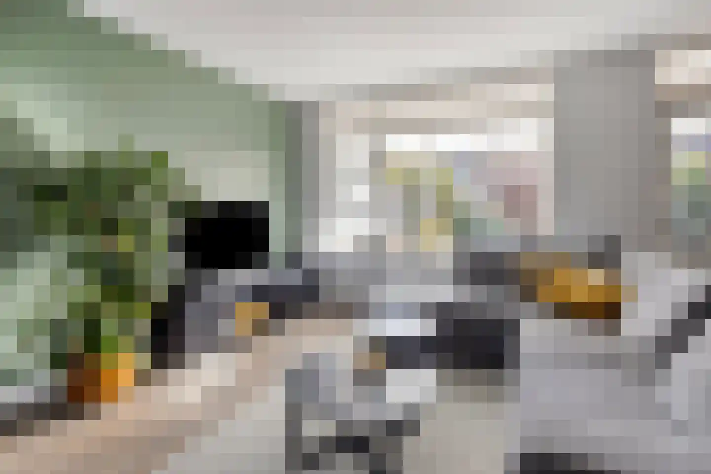 Veilingstraat 112 Uden thumbnail 9