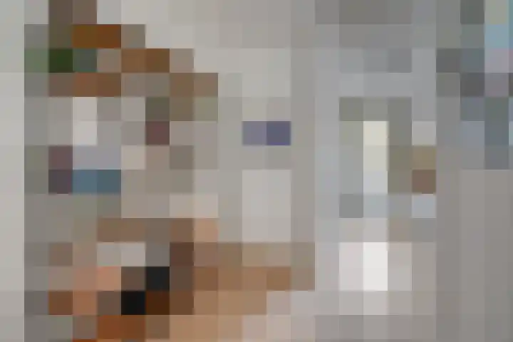 Veilingstraat 93 Utrecht thumbnail 14