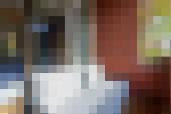 Veilingstraat 93 Utrecht thumbnail 21