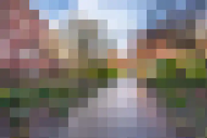 Veilingstraat 93 Utrecht thumbnail 29