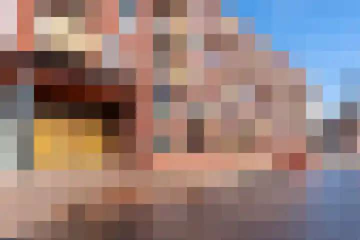 Veilingstraat 93 Utrecht thumbnail 5