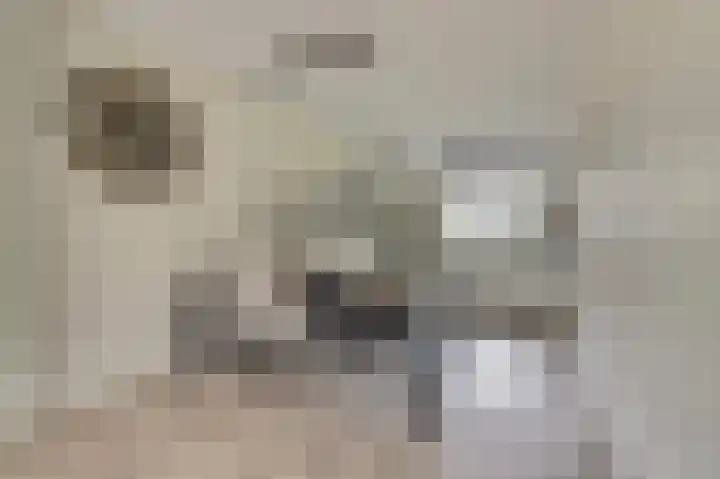 Veilingweg 3 C De Lier thumbnail 12