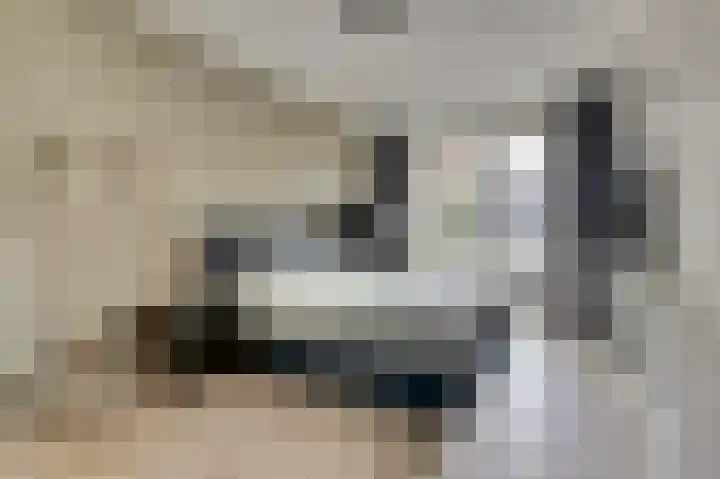 Veilingweg 3 C De Lier thumbnail 16