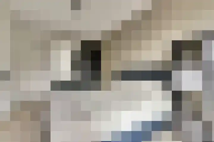 Veilingweg 3 C De Lier thumbnail 18