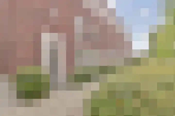 Veilingweg 3 C De Lier thumbnail 32