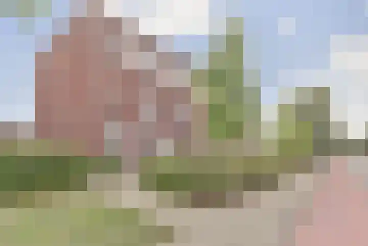 Veilingweg 3 C De Lier thumbnail 33