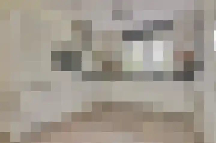 Veilingweg 3 C De Lier thumbnail 4