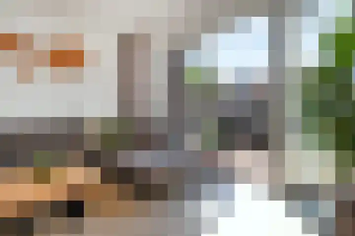 Veilingweg 3 E De Lier thumbnail 13