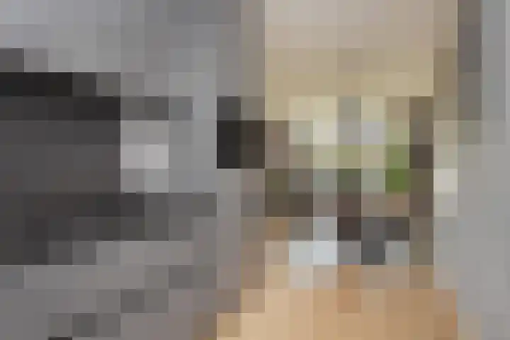 Veilingweg 3 E De Lier thumbnail 16