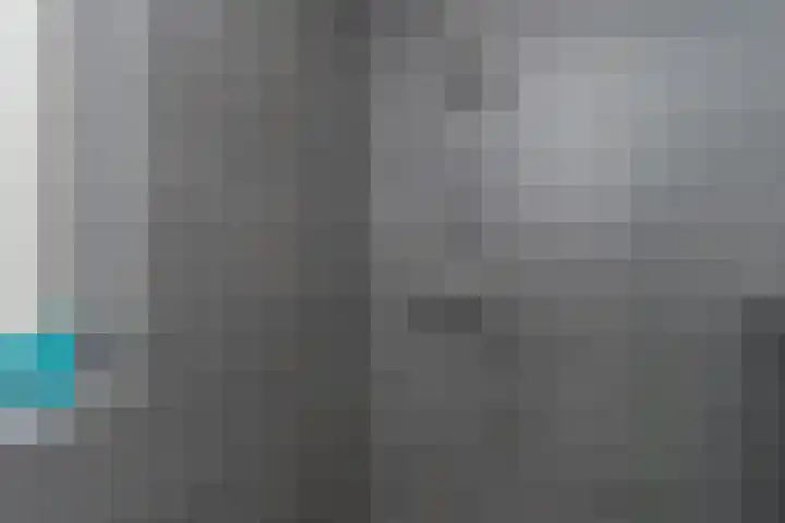 Veilingweg 3 E De Lier thumbnail 31