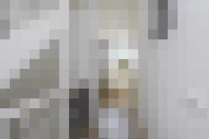 Veilingweg 3 E De Lier thumbnail 34