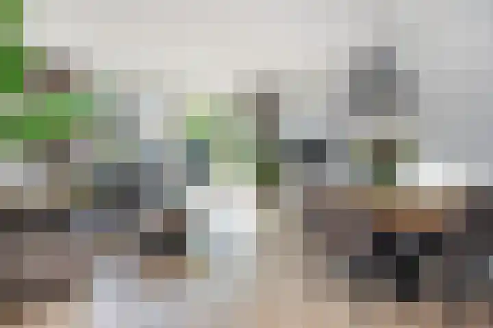 Veilingweg 3 E De Lier thumbnail 4