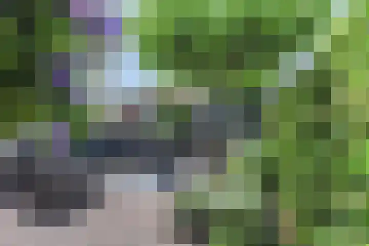 Veilingweg 3 E De Lier thumbnail 45