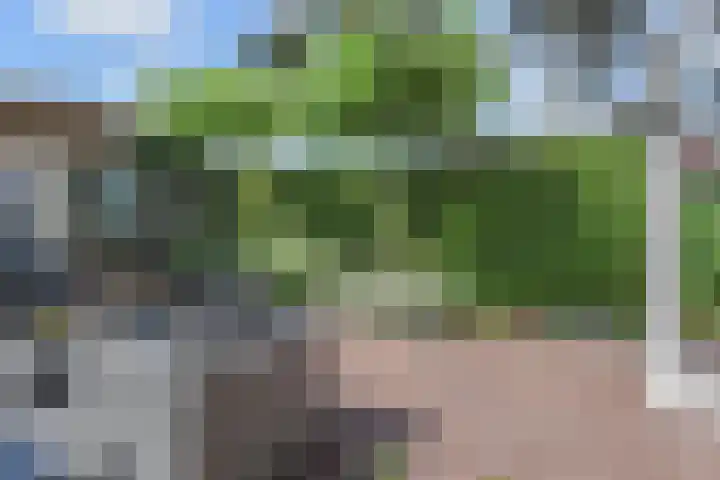 Veilingweg 3 E De Lier thumbnail 46