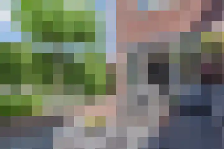 Veilingweg 3 E De Lier thumbnail 48