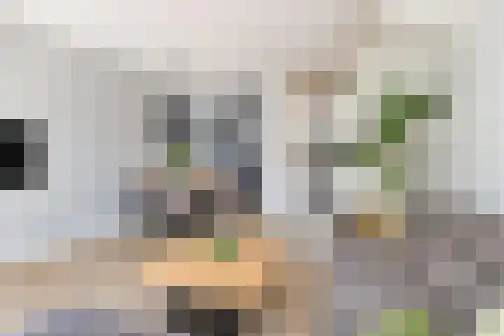 Veilingweg 3 E De Lier thumbnail 5