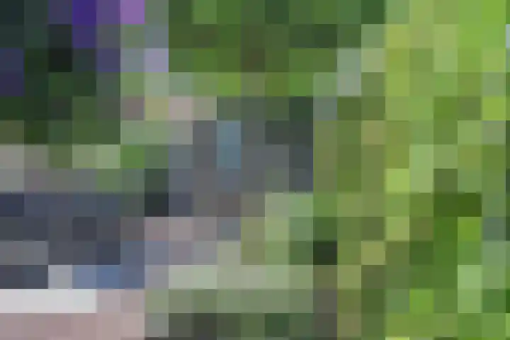 Veilingweg 3 E De Lier thumbnail 51