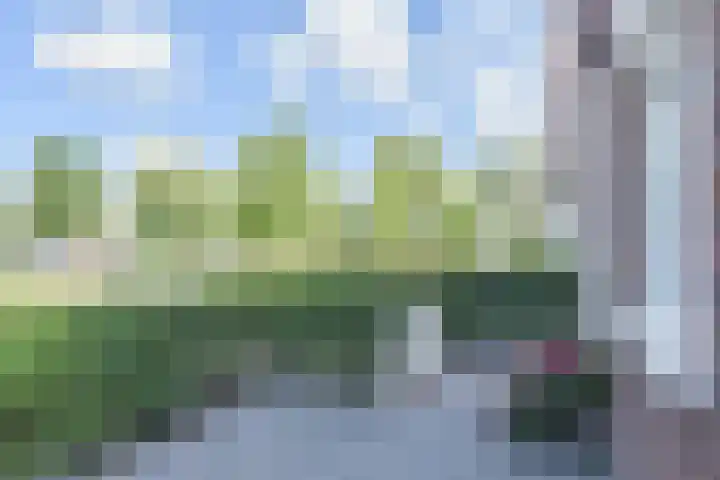 Veilingweg 3 E De Lier thumbnail 54